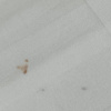 https://cdn.ostrovok.ru/t/100x100/hotel_review/2e/04/2e046e6fa2fae5dafce2e763aa4c72feb95e6a59.JPEG