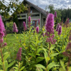 https://cdn.ostrovok.ru/t/100x100/hotel_review/2e/e3/2ee3ccf7faa5e737beb0ad522bd5ee78839fdbb5.JPEG