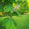 https://cdn.ostrovok.ru/t/100x100/hotel_review/31/4f/314f1c847fa61ba34caf6cdc4d2cb85dbcdc597d.jpeg