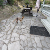 https://cdn.ostrovok.ru/t/100x100/hotel_review/33/f6/33f6dded14edbbc677bafdfd4febfdf617f54378.JPEG