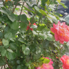 https://cdn.ostrovok.ru/t/100x100/hotel_review/33/ff/33ff0a1915d00d1c19d96389a736a043fd82dee2.JPEG