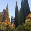https://cdn.ostrovok.ru/t/100x100/hotel_review/39/b6/39b6f3ae4e6fbb947f8fec9bfb89e63c74450cf0.JPEG