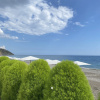 https://cdn.ostrovok.ru/t/100x100/hotel_review/3c/4e/3c4e06e2673c6af79ef26e0f6dc2ec752786f4ed.JPEG