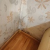 https://cdn.ostrovok.ru/t/100x100/hotel_review/3c/8d/3c8d2f9876fcabae91bdc70c6663b62af3fb993e.jpeg