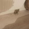 https://cdn.ostrovok.ru/t/100x100/hotel_review/3d/08/3d088982a2ce7bd904dcccc3c1207cff0bcfcfd9.jpeg