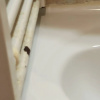 https://cdn.ostrovok.ru/t/100x100/hotel_review/3d/1d/3d1d398fc24cb67badc17f2aa58ae80e466b40d1.jpeg