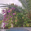 https://cdn.ostrovok.ru/t/100x100/hotel_review/3d/4f/3d4f8c4f88cf5d424c94de6672f9ed2f224cc71b.JPEG