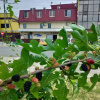 https://cdn.ostrovok.ru/t/100x100/hotel_review/3f/fa/3ffa9032a143b69e99e755b8a1dd25e54cbf5e1e.jpeg