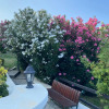 https://cdn.ostrovok.ru/t/100x100/hotel_review/4b/56/4b56b555a7174c1927aa714eefa32234bc03498e.jpeg