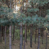 https://cdn.ostrovok.ru/t/100x100/hotel_review/4b/bb/4bbb7562a2dccdbbbe4ddf280d96c4d90f9dc88e.JPEG