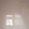 https://cdn.ostrovok.ru/t/100x100/hotel_review/4d/cc/4dcc6aaef8fdcb9d2677d0d3acdf1e42e8d34158.JPEG