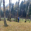 https://cdn.ostrovok.ru/t/100x100/hotel_review/4e/1d/4e1d52d52ebbcc9abe9486d43f4bdb80bbb17cde.jpeg