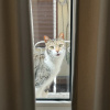 https://cdn.ostrovok.ru/t/100x100/hotel_review/4e/5a/4e5aa5e9328e57658fa614f623ff37fbdce50c56.JPEG