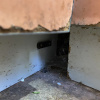 https://cdn.ostrovok.ru/t/100x100/hotel_review/4e/a7/4ea75c0ee111e3db3e831d0abcacabff45845ef4.jpeg