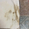 https://cdn.ostrovok.ru/t/100x100/hotel_review/4e/bb/4ebb76aa0c09b695ab51f676af3fdcf824cbc0e1.JPEG