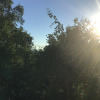 https://cdn.ostrovok.ru/t/100x100/hotel_review/4e/d3/4ed3dddcbd1791e00be9517fbd4c6314b930e3cb.JPEG