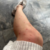 https://cdn.ostrovok.ru/t/100x100/hotel_review/4f/6a/4f6a61b155dbad2ea0bda2e60244b8bbb79bec99.JPEG