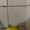 https://cdn.ostrovok.ru/t/100x100/hotel_review/52/63/5263c1d4600d0a91c697c48ae0c7090a91091cdf.jpeg