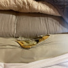 https://cdn.ostrovok.ru/t/100x100/hotel_review/53/f2/53f284efe867fba6943c867bbb8e9dfd169d051a.JPEG