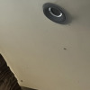 https://cdn.ostrovok.ru/t/100x100/hotel_review/54/1d/541d1ed221ff7eebcd4f72b0df5073783dc1c852.JPEG