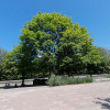 https://cdn.ostrovok.ru/t/100x100/hotel_review/5a/28/5a28131a5c7ccd001f983fbc0fee865166cce127.jpeg