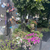 https://cdn.ostrovok.ru/t/100x100/hotel_review/5d/64/5d64b7a192fadbe1fe3a16631723f9fd0a2a7ce7.JPEG
