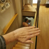 https://cdn.ostrovok.ru/t/100x100/hotel_review/5d/aa/5daa48819e25e1a743ffaae6cd151c064867fece.jpeg