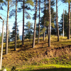 https://cdn.ostrovok.ru/t/100x100/hotel_review/5f/7a/5f7a88622a9f049e4d7ccbc41c2948ea0bbbe71c.jpeg