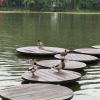 https://cdn.ostrovok.ru/t/100x100/hotel_review/5f/9f/5f9ffdb1aa3fac15dad8cd3e00acd54dfefdebdc.JPEG