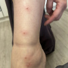 https://cdn.ostrovok.ru/t/100x100/hotel_review/62/5c/625cdc5cbc704b3dc62fdb2141d44d3561baa5e2.JPEG