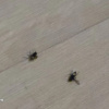 https://cdn.ostrovok.ru/t/100x100/hotel_review/64/cf/64cfbe6d9b7117f6a24e3a4bf64c8584a87f6cd7.JPEG