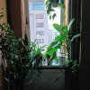 https://cdn.ostrovok.ru/t/100x100/hotel_review/66/b2/66b2d385c2b2981364ea7615fbec4e84e3e418d0.jpeg