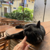 https://cdn.ostrovok.ru/t/100x100/hotel_review/6a/a0/6aa01986f7ca9b7bd5b5cafe926d08a78c19b8d3.JPEG