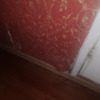 https://cdn.ostrovok.ru/t/100x100/hotel_review/6c/3e/6c3eb884cd5f88a934e7e47a7402ff6b7cfca2d5.jpeg