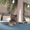 https://cdn.ostrovok.ru/t/100x100/hotel_review/6d/0b/6d0bb2987d32d609c27cd5c4e067b79ba5cc93ec.jpeg