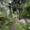 https://cdn.ostrovok.ru/t/100x100/hotel_review/6d/8a/6d8a9a64f726558c7fcc7cad8d5f45865bc2f75a.JPEG