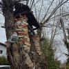 https://cdn.ostrovok.ru/t/100x100/hotel_review/79/9e/799e1ea06e29d4ccf3a8c433d4a00e7ab45992bc.JPEG