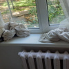 https://cdn.ostrovok.ru/t/100x100/hotel_review/7b/9e/7b9ebea9367cede867a86ca4347b3a673365d7a2.jpeg