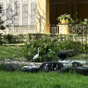 https://cdn.ostrovok.ru/t/100x100/hotel_review/7d/2f/7d2fad0ceed6b97a0eb3d6f627694ec11681ea1a.JPEG