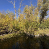 https://cdn.ostrovok.ru/t/100x100/hotel_review/7d/4e/7d4e5f390aef6dd2c8472cd315eb4abdf8c9cc29.JPEG