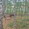 https://cdn.ostrovok.ru/t/100x100/hotel_review/7d/e2/7de29dff2bd6ec53d040e0fe127cbb11bb08cf11.JPEG