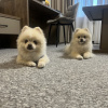 https://cdn.ostrovok.ru/t/100x100/hotel_review/7f/b5/7fb57052c19b95a112b0bb842a086b5ae87f9da2.JPEG
