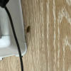 https://cdn.ostrovok.ru/t/100x100/hotel_review/81/d4/81d44737bcee657261c3884dfd376b7d189ff37a.JPEG