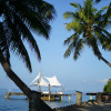 https://cdn.ostrovok.ru/t/100x100/hotel_review/84/dc/84dcddea53a698bbcc352214e1323c9ba25ee09e.jpeg