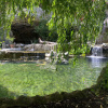 https://cdn.ostrovok.ru/t/100x100/hotel_review/85/39/8539e93c6a23baa91dc60f5dbf4e153ab328e33f.jpeg