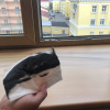 https://cdn.ostrovok.ru/t/100x100/hotel_review/8a/3e/8a3ef944e20307787e3cc9fe507e564dc75dfee3.JPEG