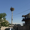 https://cdn.ostrovok.ru/t/100x100/hotel_review/8a/6d/8a6d4fcd32685a1482e18569fa9cd4d85b5f322d.JPEG