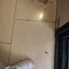 https://cdn.ostrovok.ru/t/100x100/hotel_review/8c/e2/8ce23108f9dd14b4dfd501620bca6bbe9f67de4f.JPEG