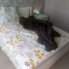 https://cdn.ostrovok.ru/t/100x100/hotel_review/8d/0f/8d0fd75e69658127cf5c4b8a60a8ddab9b23d8d2.jpeg