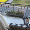 https://cdn.ostrovok.ru/t/100x100/hotel_review/8d/8d/8d8db24883850f6f61dedf07cec3e74602aa8167.jpeg